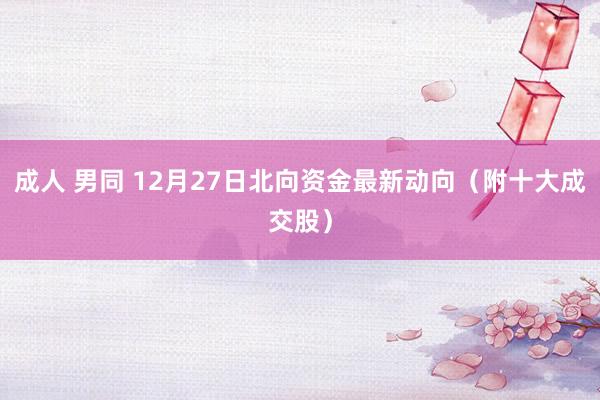 成人 男同 12月27日北向资金最新动向（附十大成交股）