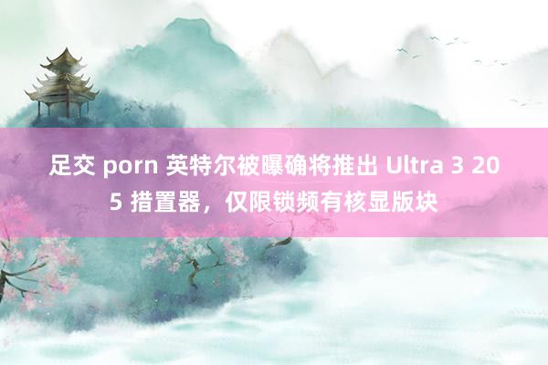 足交 porn 英特尔被曝确将推出 Ultra 3 205 措置器，仅限锁频有核显版块