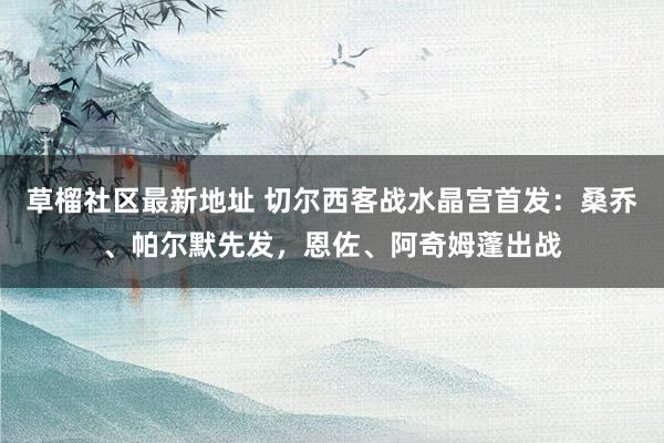 草榴社区最新地址 切尔西客战水晶宫首发：桑乔、帕尔默先发，恩佐、阿奇姆蓬出战