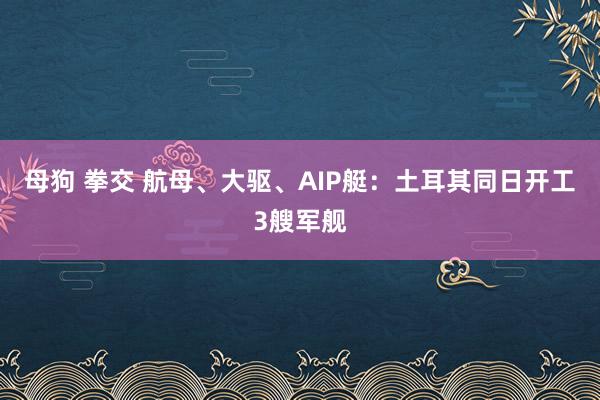 母狗 拳交 航母、大驱、AIP艇：土耳其同日开工3艘军舰