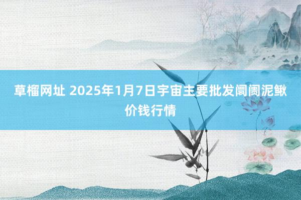 草榴网址 2025年1月7日宇宙主要批发阛阓泥鳅价钱行情