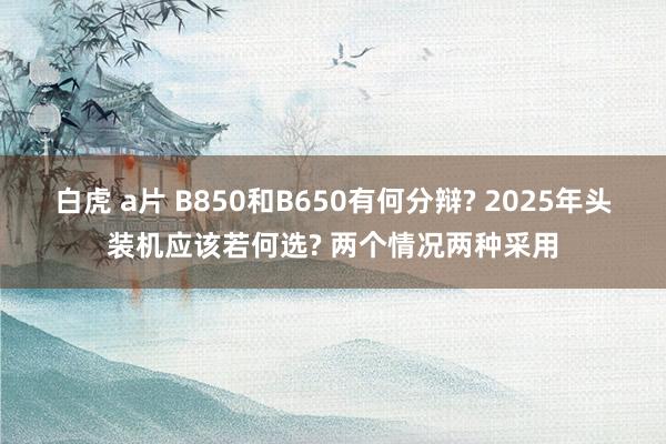 白虎 a片 B850和B650有何分辩? 2025年头装机应该若何选? 两个情况两种采用