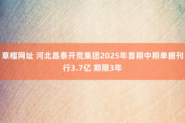 草榴网址 河北昌泰开荒集团2025年首期中期单据刊行3.7亿 期限3年