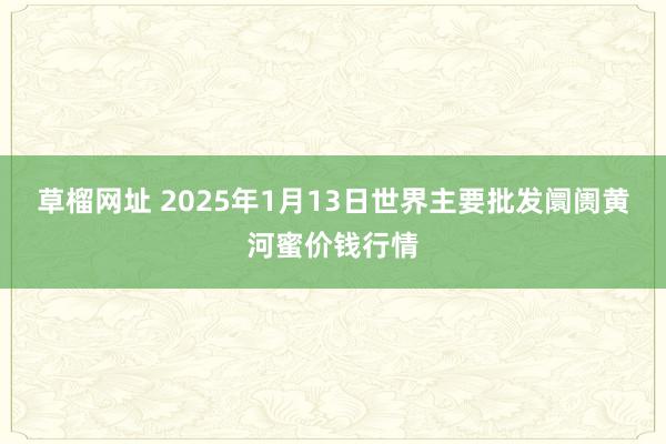 草榴网址 2025年1月13日世界主要批发阛阓黄河蜜价钱行情