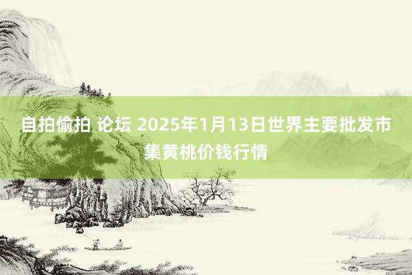 自拍偷拍 论坛 2025年1月13日世界主要批发市集黄桃价钱行情