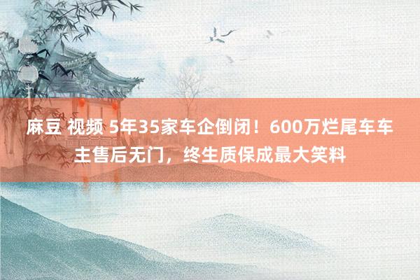 麻豆 视频 5年35家车企倒闭！600万烂尾车车主售后无门，终生质保成最大笑料