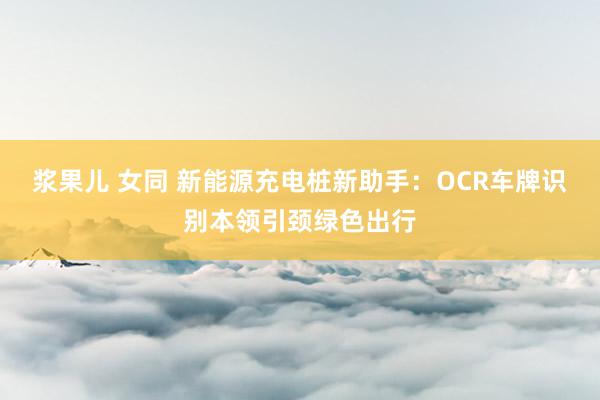 浆果儿 女同 新能源充电桩新助手：OCR车牌识别本领引颈绿色出行