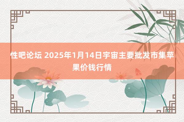 性吧论坛 2025年1月14日宇宙主要批发市集苹果价钱行情