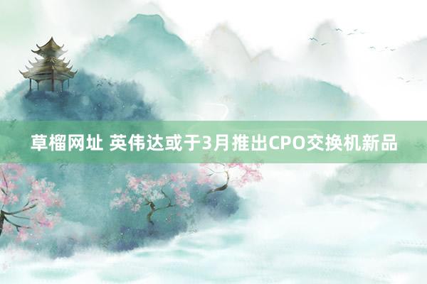 草榴网址 英伟达或于3月推出CPO交换机新品