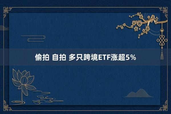 偷拍 自拍 多只跨境ETF涨超5%