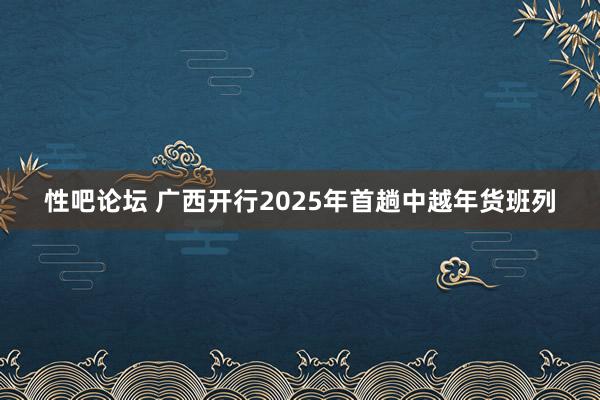 性吧论坛 广西开行2025年首趟中越年货班列