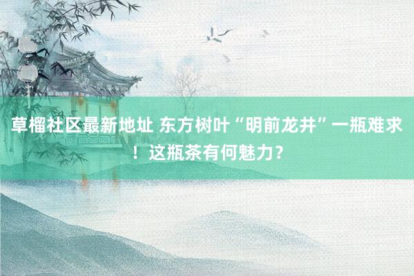 草榴社区最新地址 东方树叶“明前龙井”一瓶难求！这瓶茶有何魅力？
